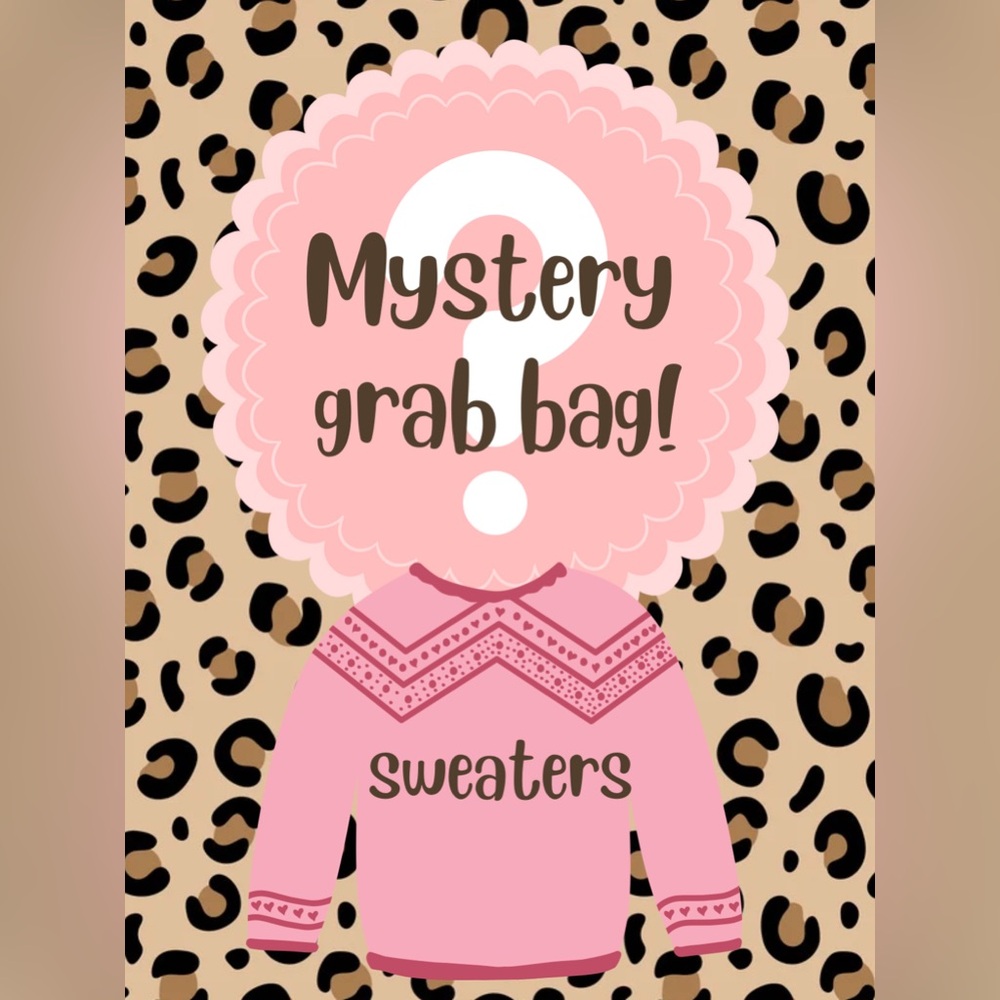 Mystery grab bag of 2 sweaters!